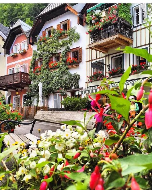 ოთხდღიანი ტურები გერმანია