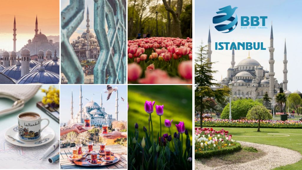 სტამბოლი * ტიტების ფესტივალზე * მხოლოდ თქვენი დაუვიწყარი მოგზაურობისთვის!