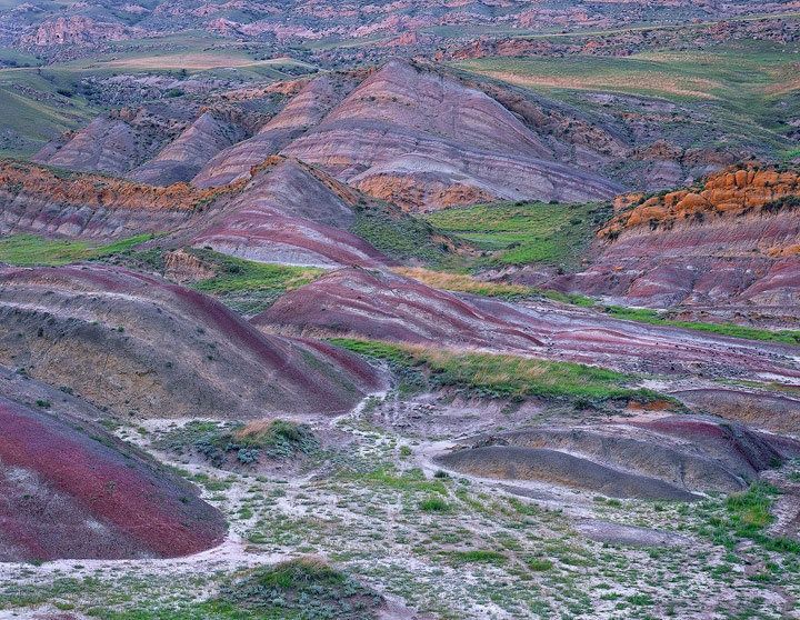 თეთრი უდაბნო - მრავალწყარო (ფერადი ტური)