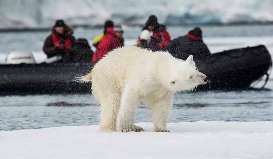 შპიცბერგენი