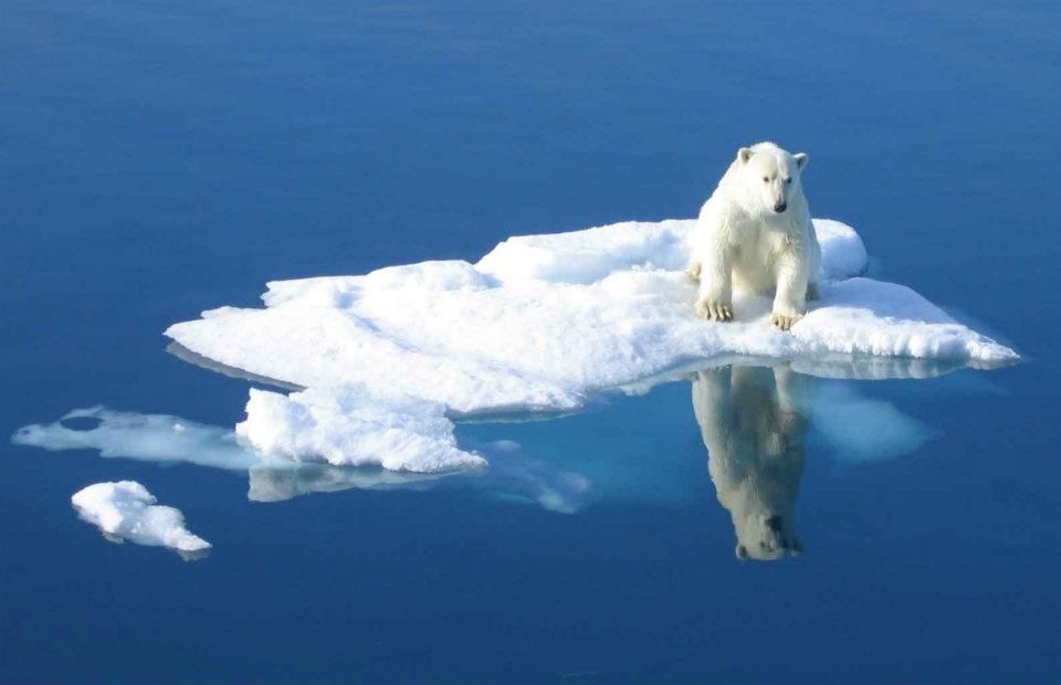 შპიცბერგენი