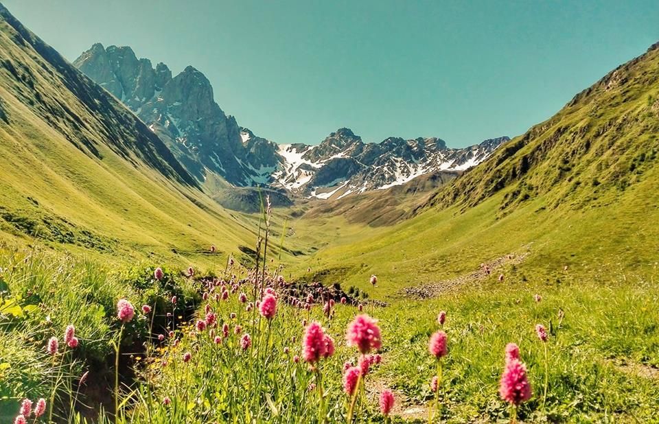 ჯუთა-ჭაუხი