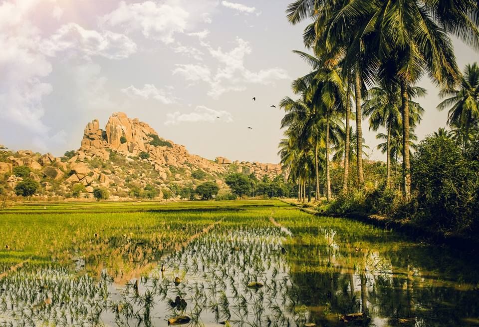 ინდოეთი დოლარად !!