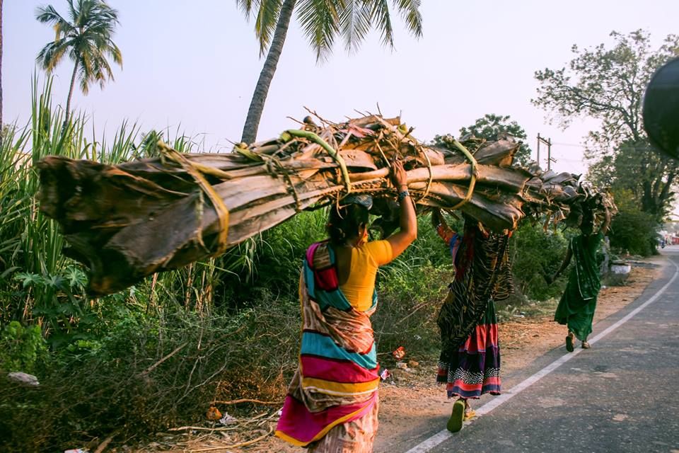 ინდოეთი დოლარად !!