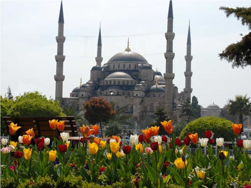 სტამბოლი