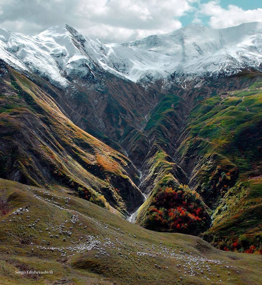 ✅ დღიანი ტური თუშეთში --