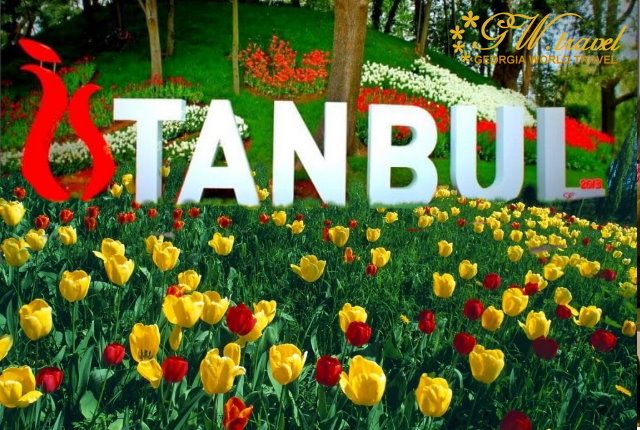 ტიტების ფესტივალი