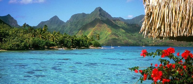 შეთავაზება კლასელებს და სტუდენტებს და არა მარტო მათ :D