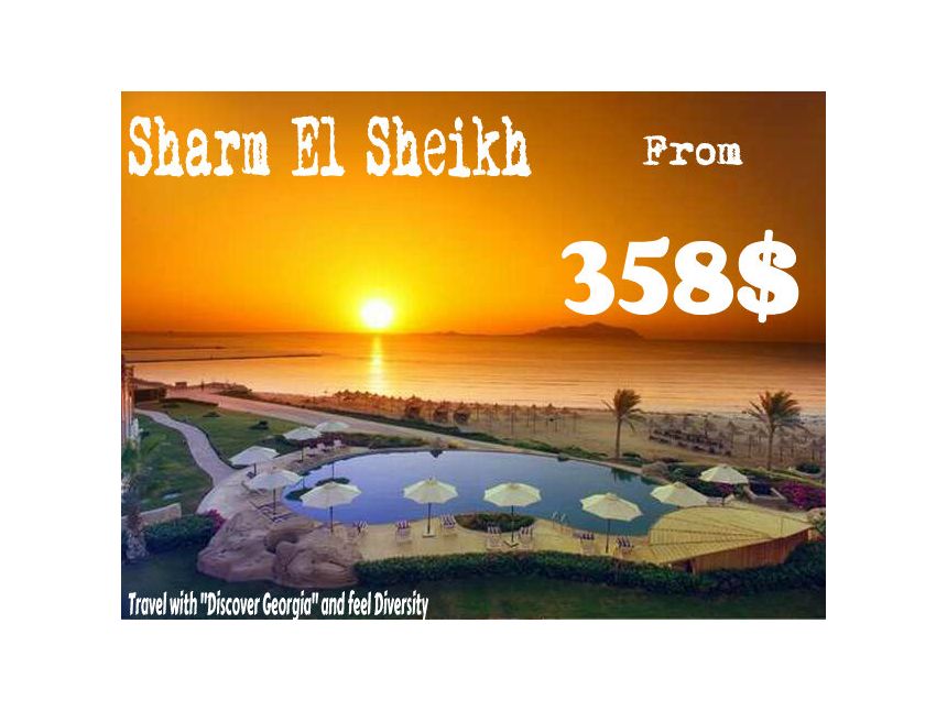 არ გამოტოვოთ ჩვენი შემოთავაზება!