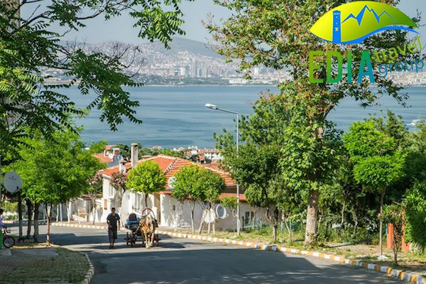 ტური პრინცის კუნძულზე მხოლოდ !!!