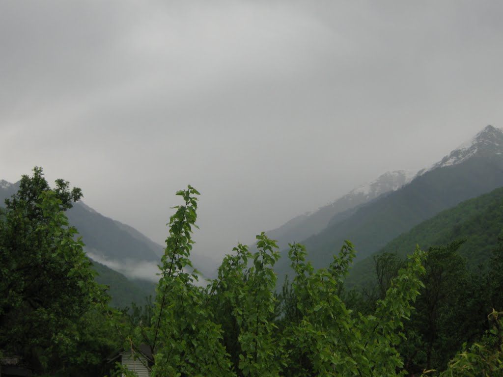 Панкисское ущелье