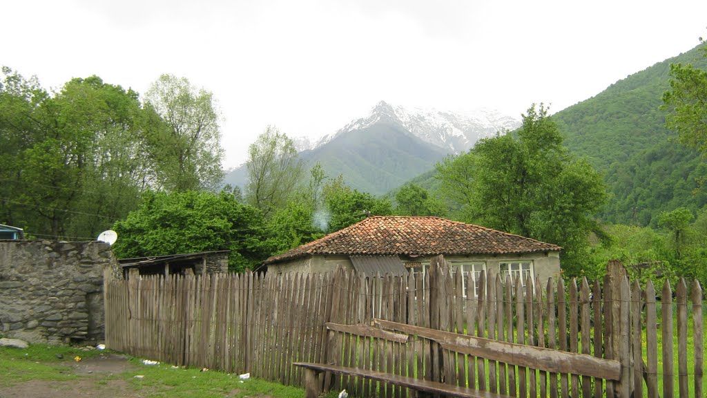 Панкисское ущелье