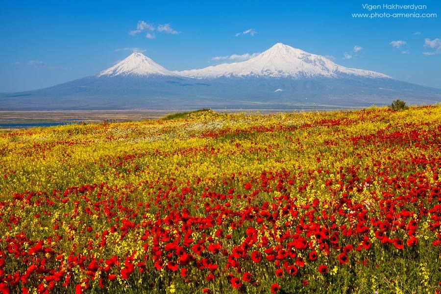 სომხეთი