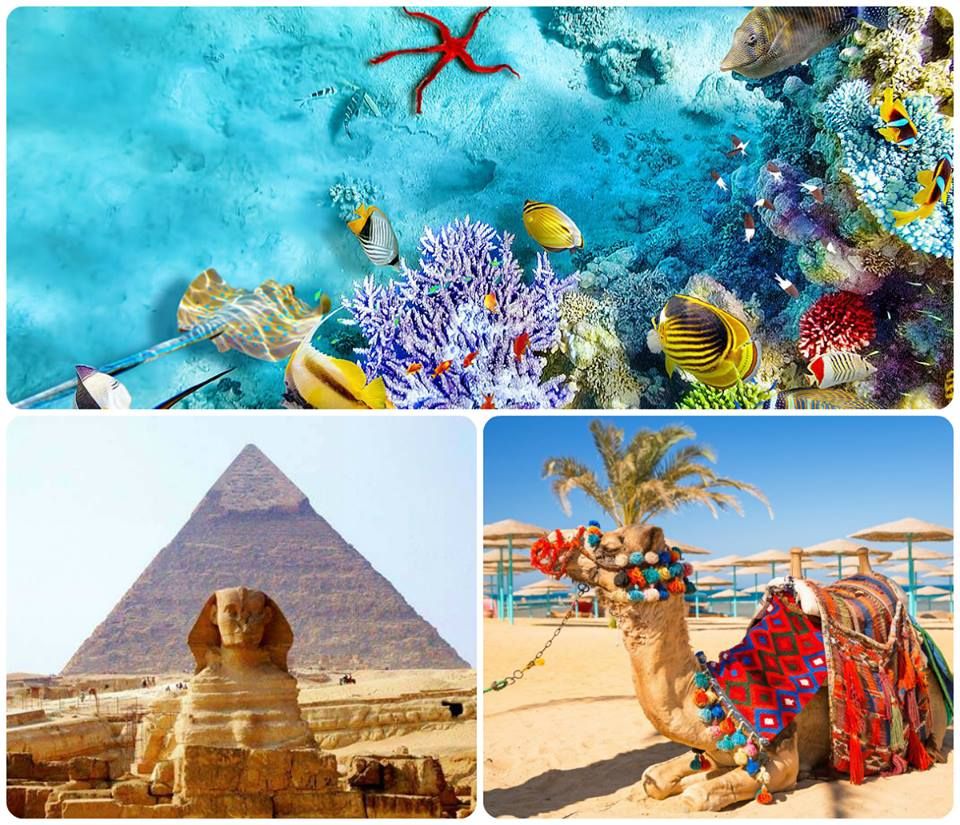 ჰურგადა - დაისვენეტ წითელი ზღვის სანაპიროზე