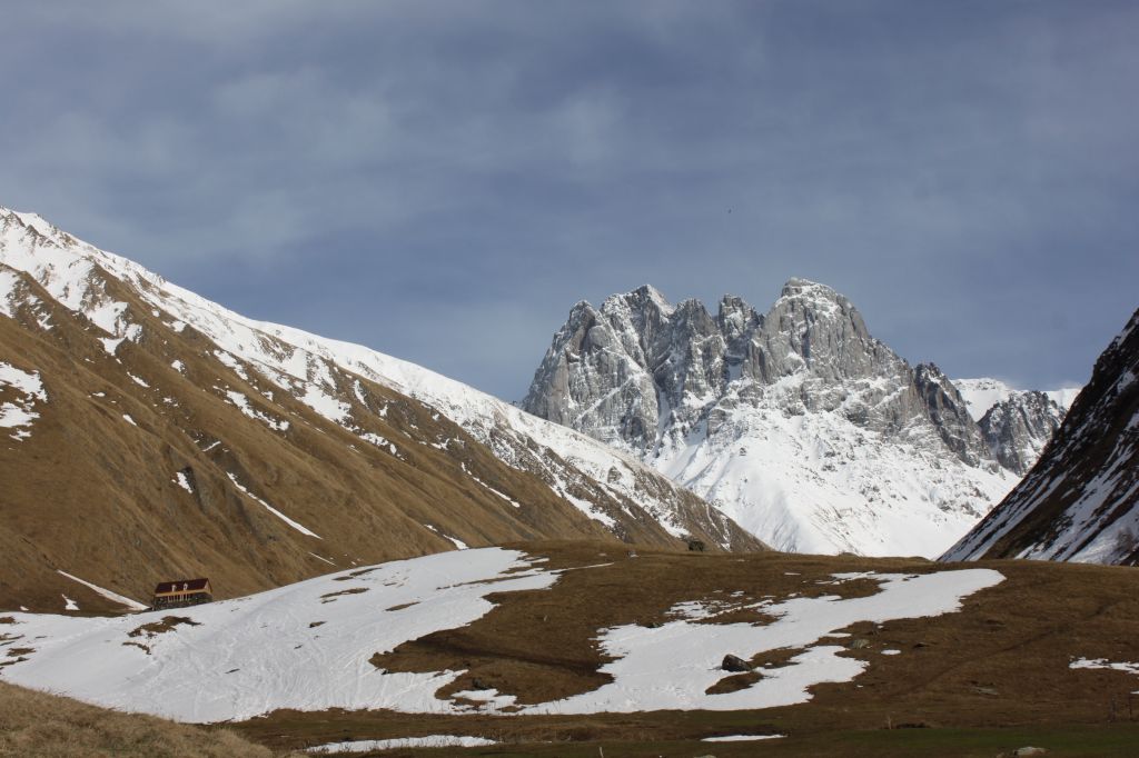 ჯუთა - ჭაუხები აპრილს - ZooM
