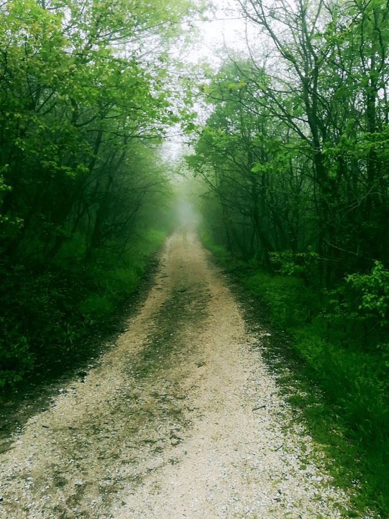ულამაზესი ქიზიყის ტური.( ელიას მთა, თამარის ციხე, არწივების ხეობა) შაბათს აპრილს.