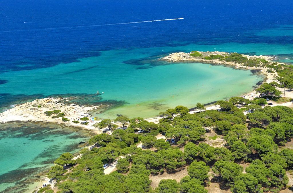 ჰალკიდიკი -