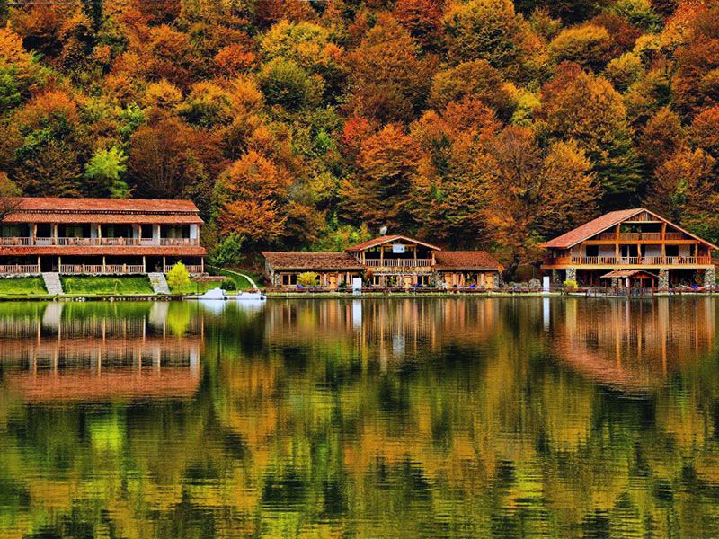 VIP Tour in Kakheti for - persons!