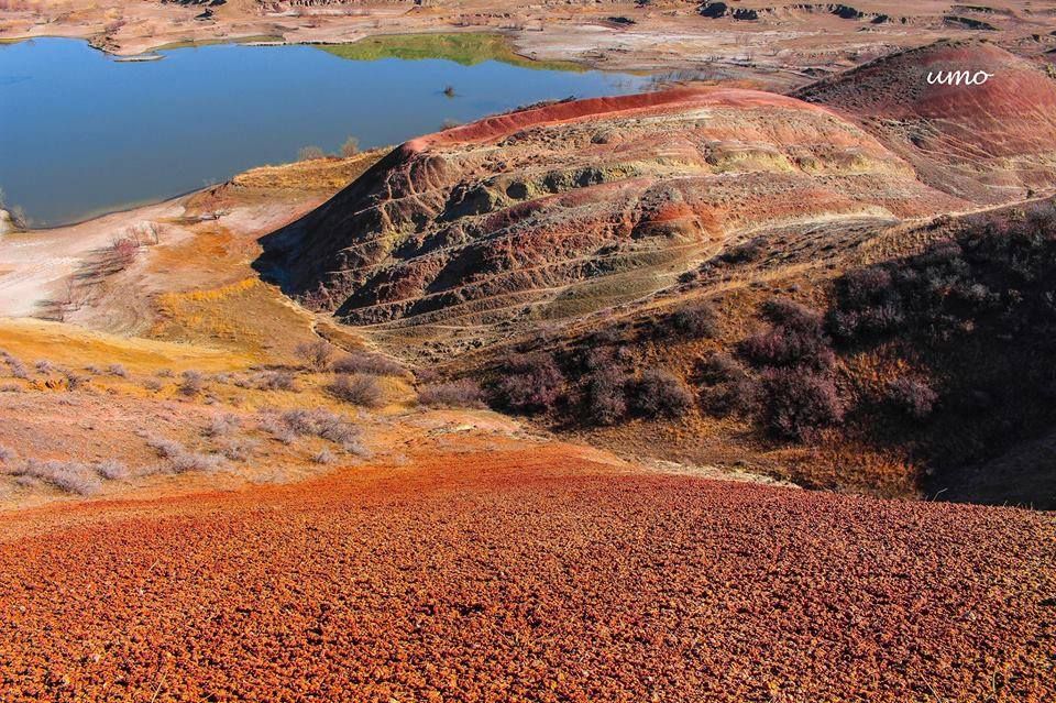 მრავალწყარო-ფერადი უდაბნო, დავითგარეჯი - ZooM