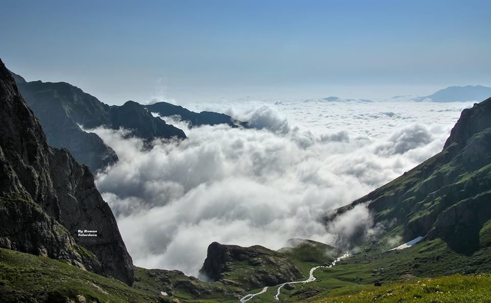 ტობავარჩხილი