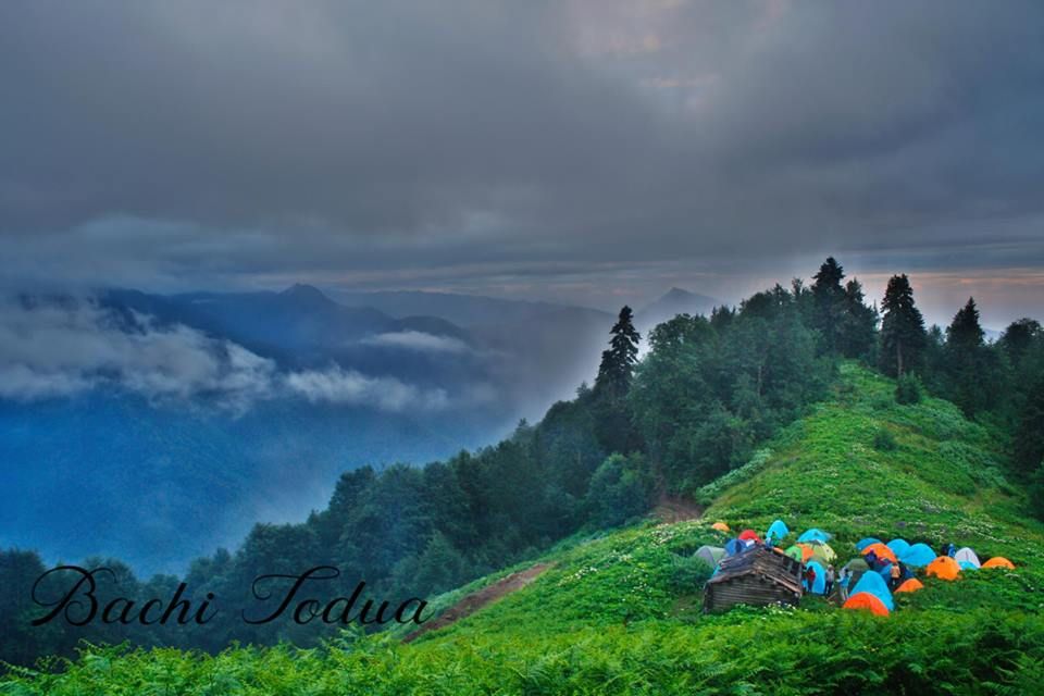 ტობავარჩხილი