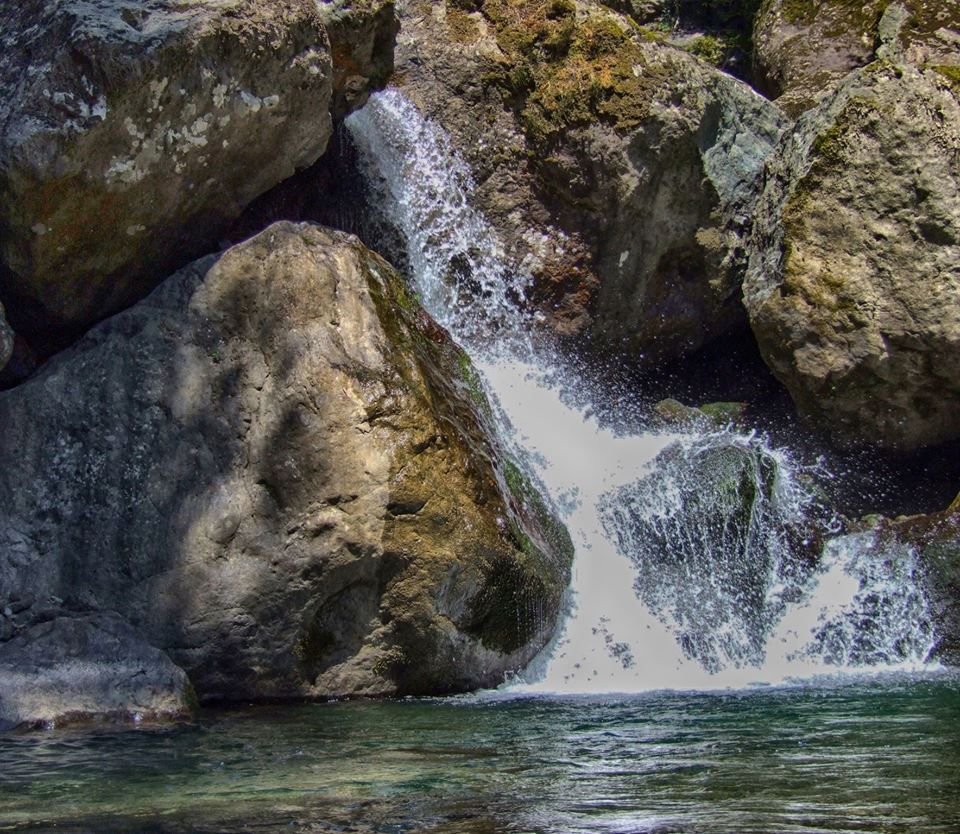 ტობავარჩხილი