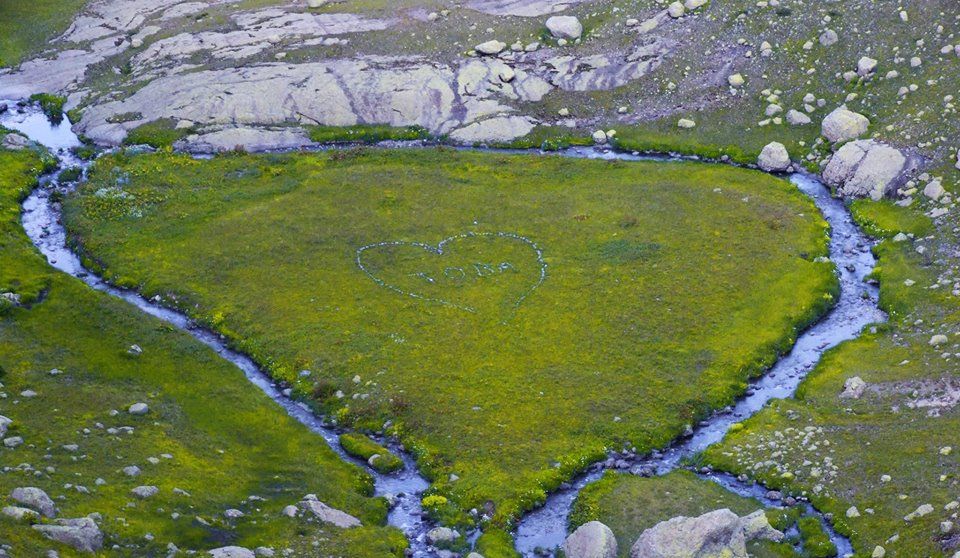 ტობავარჩხილი