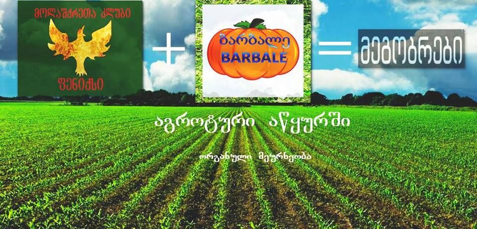 აგროტური აწყურში, ორგანული ფერმა