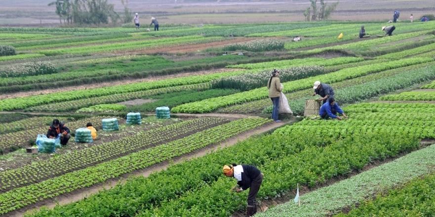 აგროტური აწყურში, ორგანული ფერმა