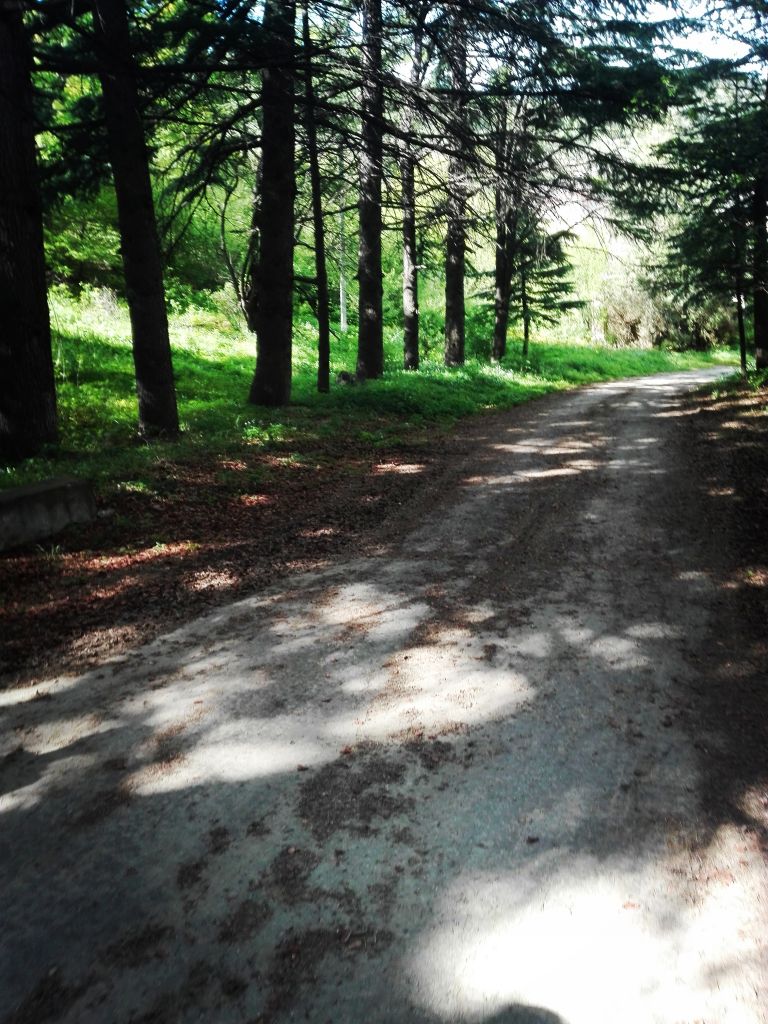 კარსანის ხეობა,ზედაზენის მამათა მონასტერი,მცხეთა.