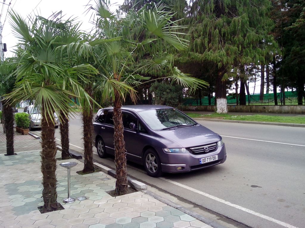 კახეთის ტური .ლარი.