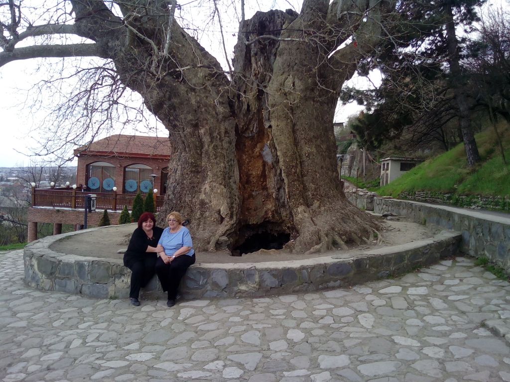 კახეთის ტური .ლარი.