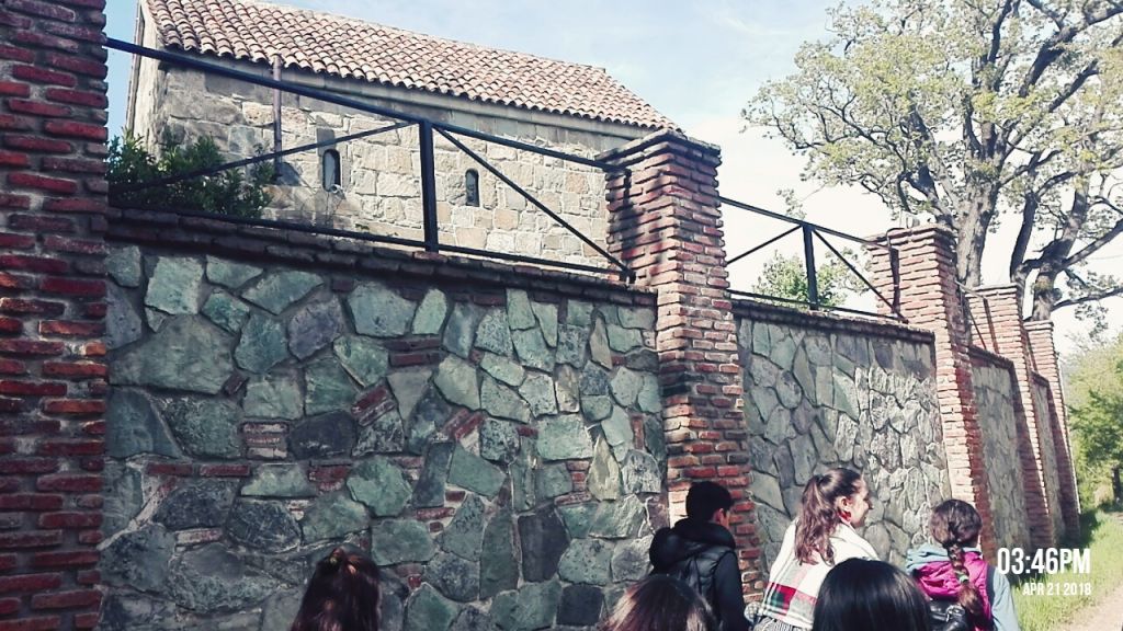 ექსკურსიები სკოლებისთვის ნებისმიერი მიმართულებით