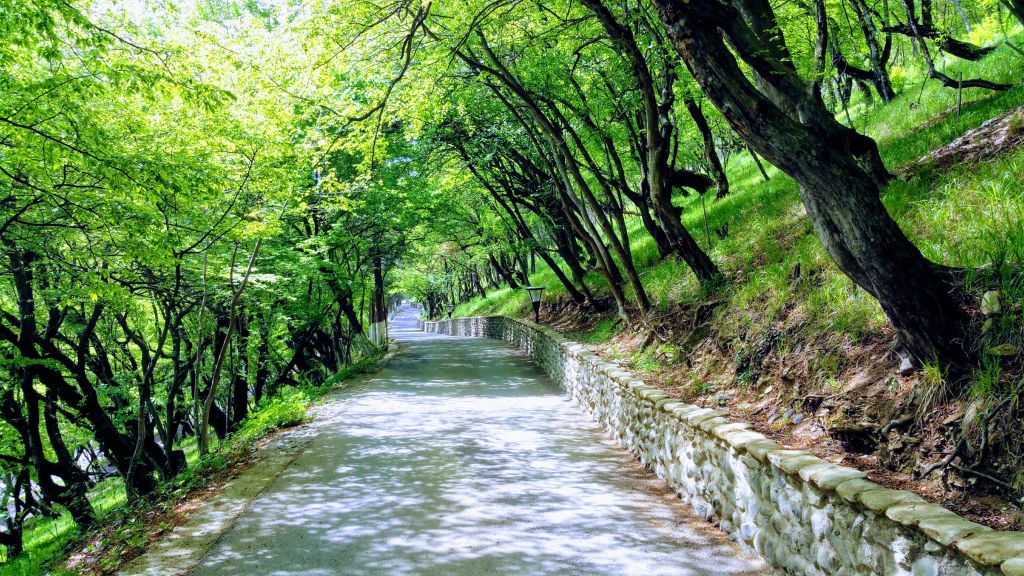 დღიანი ტური კახეთში სიღნაღი, ბოდბე, ყვარელი, ღვინისგვირაბი, გრემი, ალავერდი, იყალთო, შუამთის ორივე მონასტერი