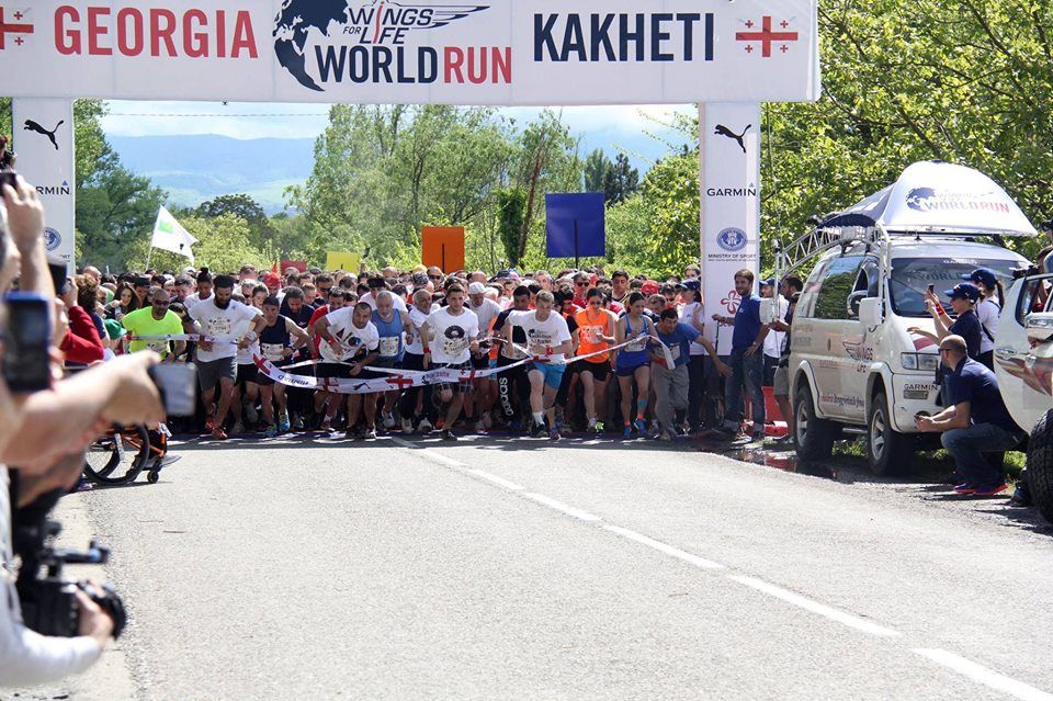 ტური კახეთში - Wings for Life World Run - ZooM