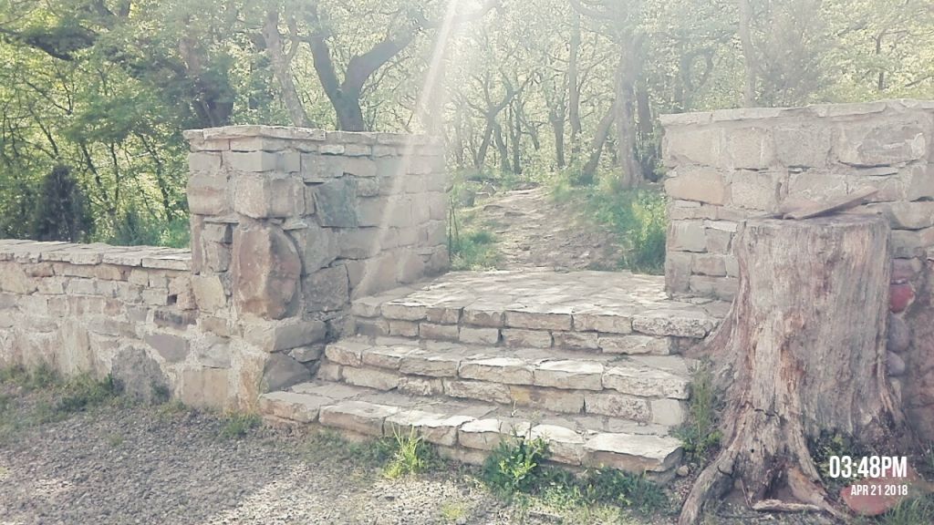 ექსკურსიები სკოლებისთვის ნებისმიერი მიმართულებით