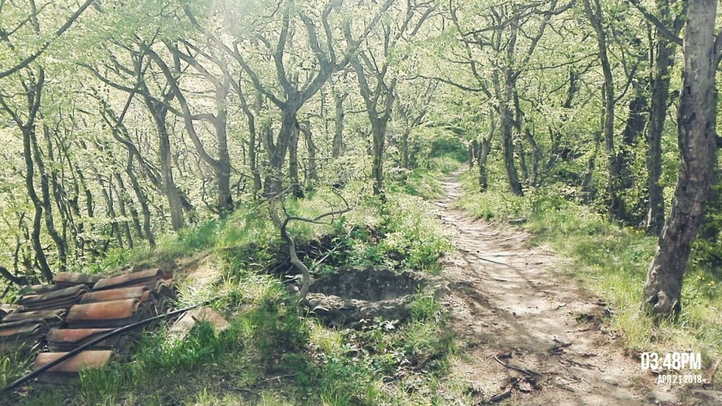 ექსკურსიები სკოლებისთვის ნებისმიერი მიმართულებით