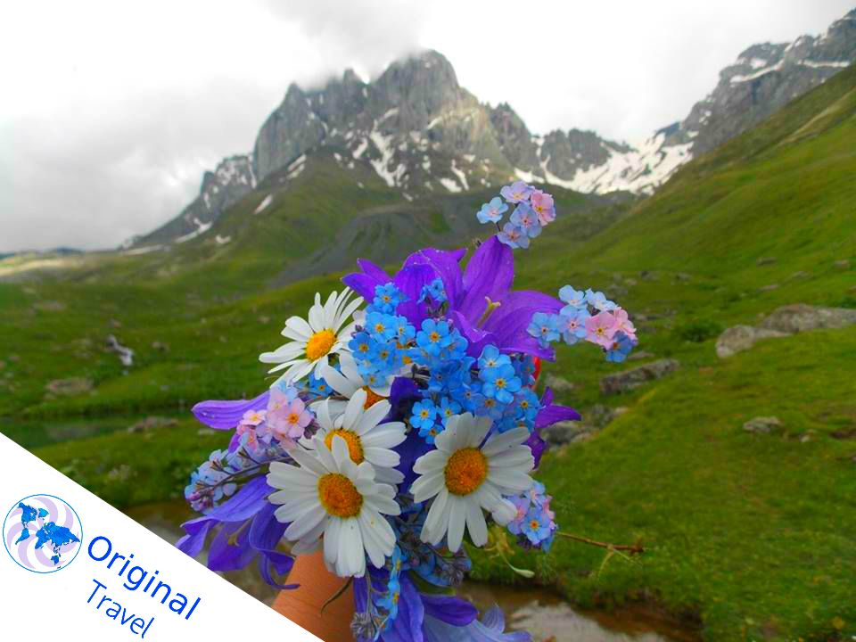 ჯუთა - მაისი