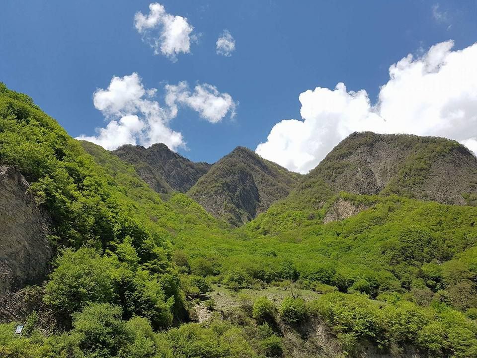 #გამოგვყევი ნინოობას ჰერეთში (საინგილოში) ივნისს