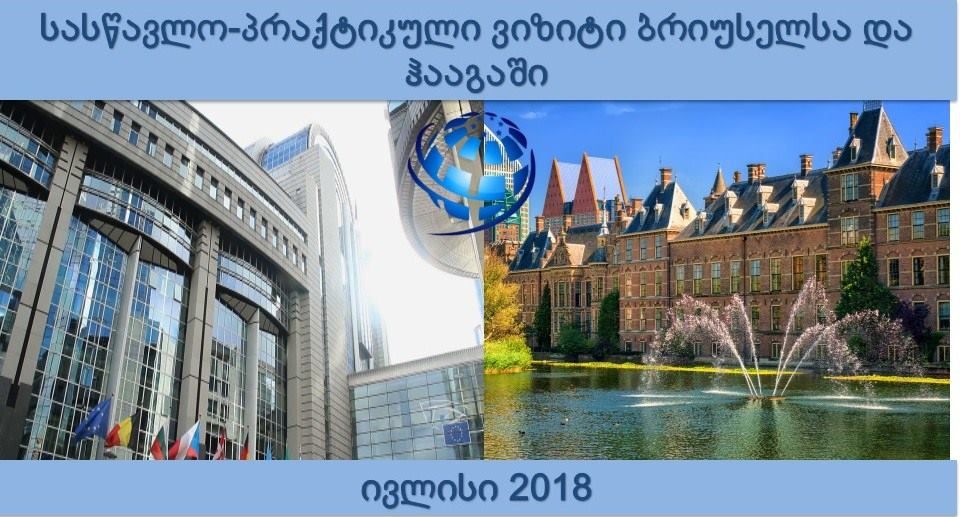 ვიზიტები და სემინარები ევროპის უმაღლეს ორგანოებში