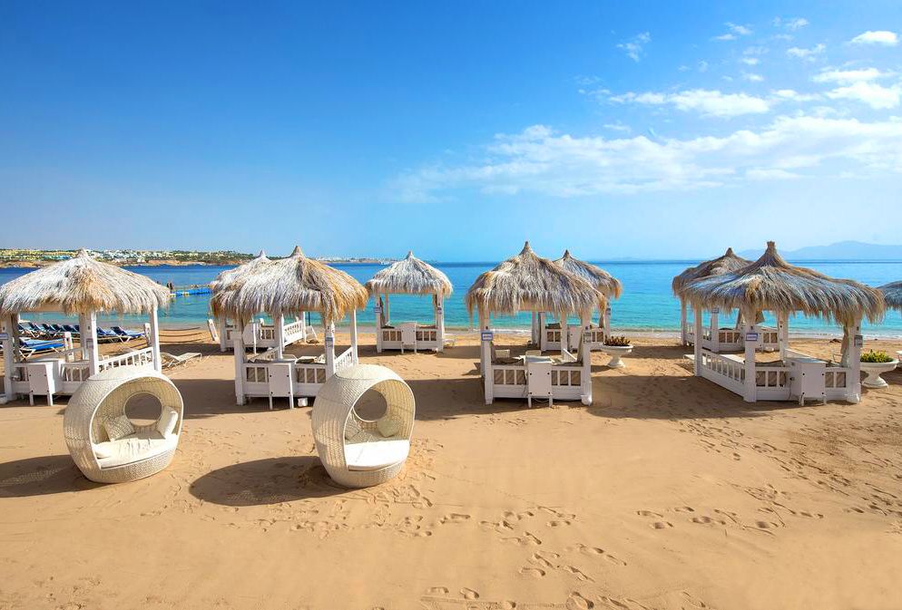 შოკ ფასები ეგვიპტეს მიმართულებით!