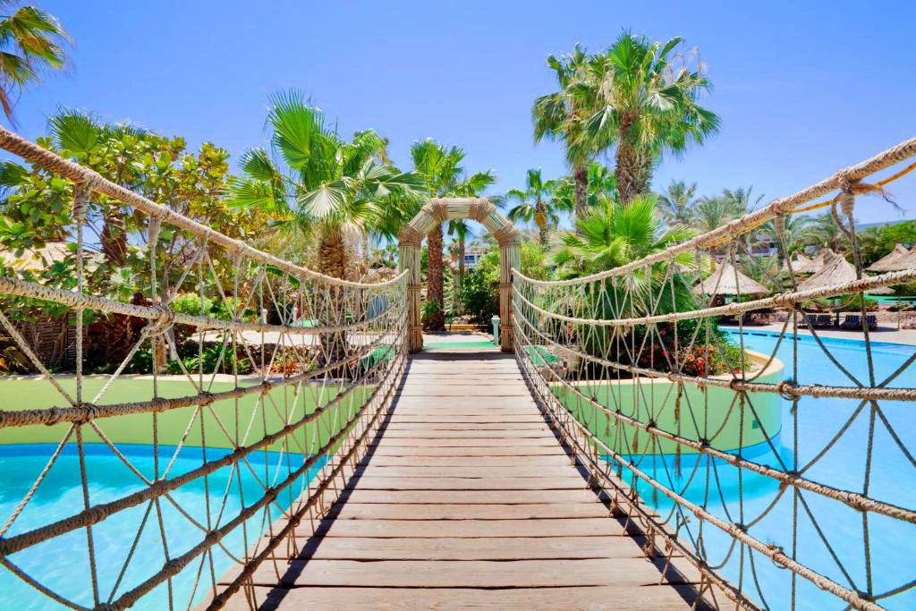 შოკ ფასები ეგვიპტეს მიმართულებით!