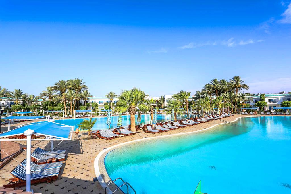 შოკ ფასები ეგვიპტეს მიმართულებით!