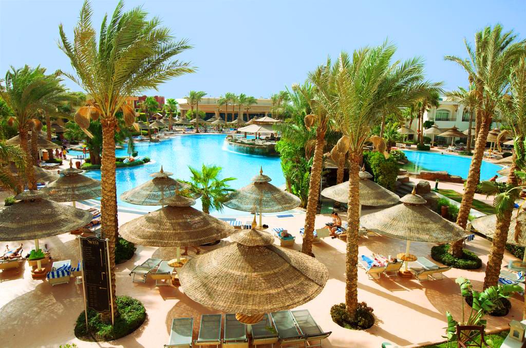 შოკ ფასები ეგვიპტეს მიმართულებით!