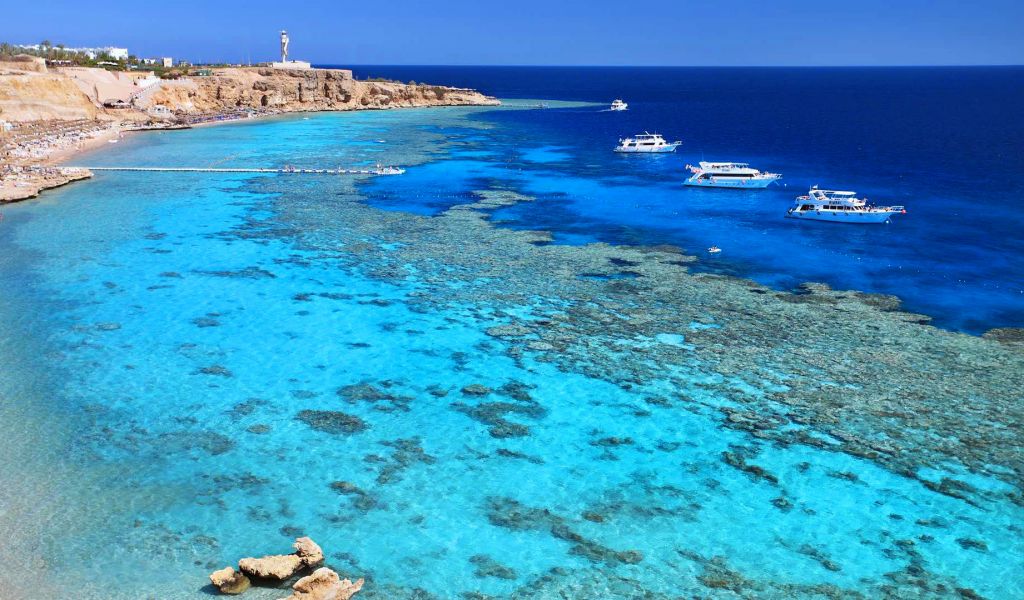 შოკ ფასები ეგვიპტეს მიმართულებით!