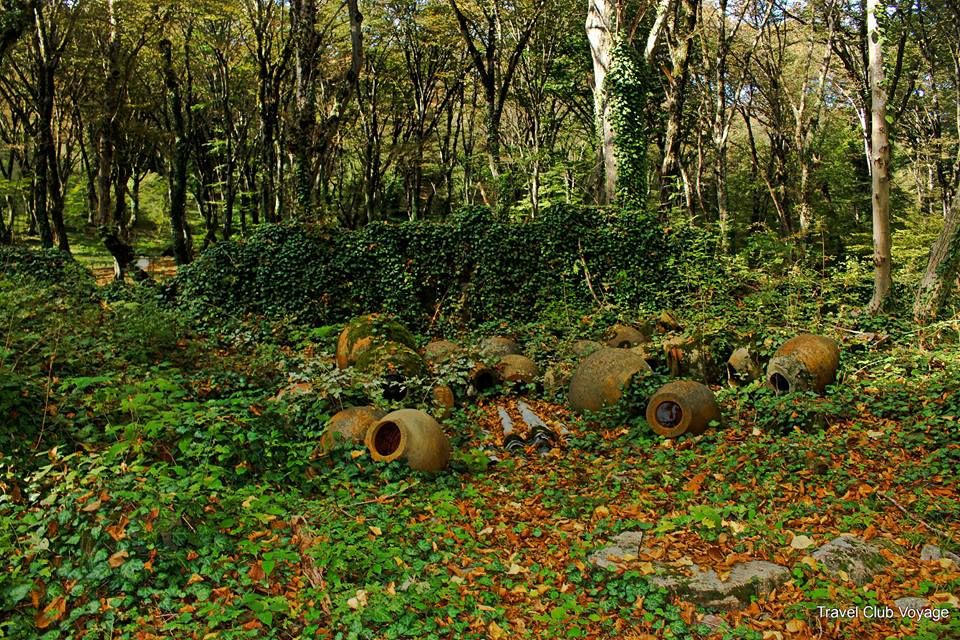 ღვინის ტური კახეთში