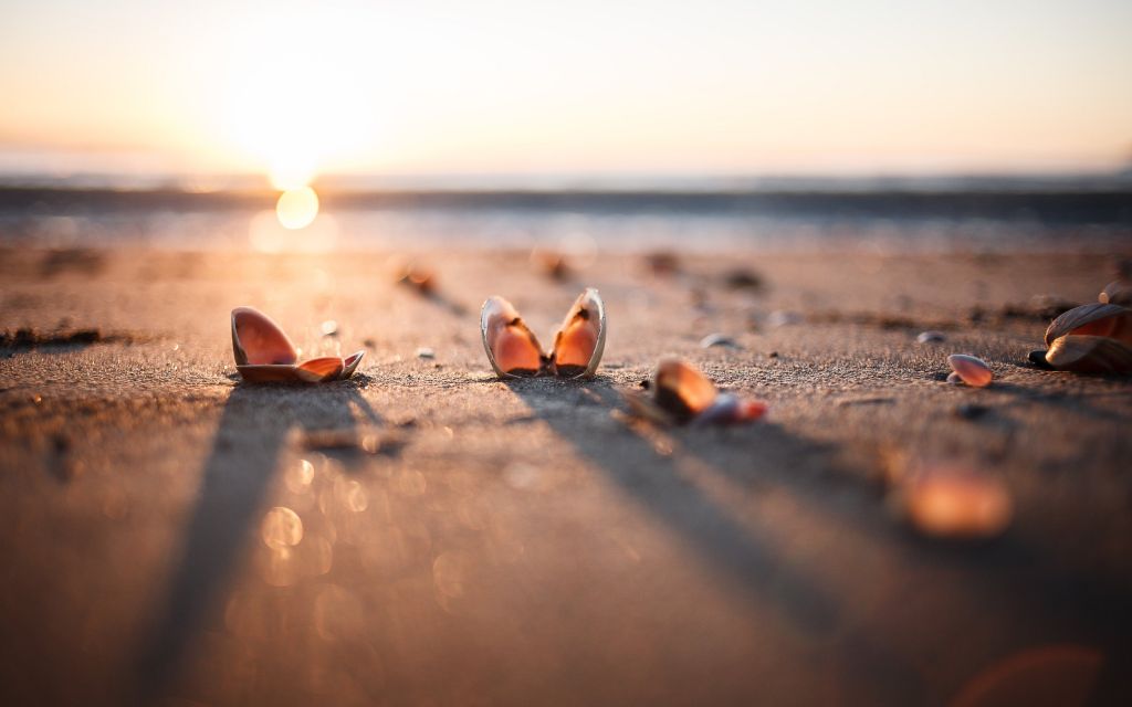 ჰურგადას ერთ კვირიანი პაკეტი სულ რაღაც -