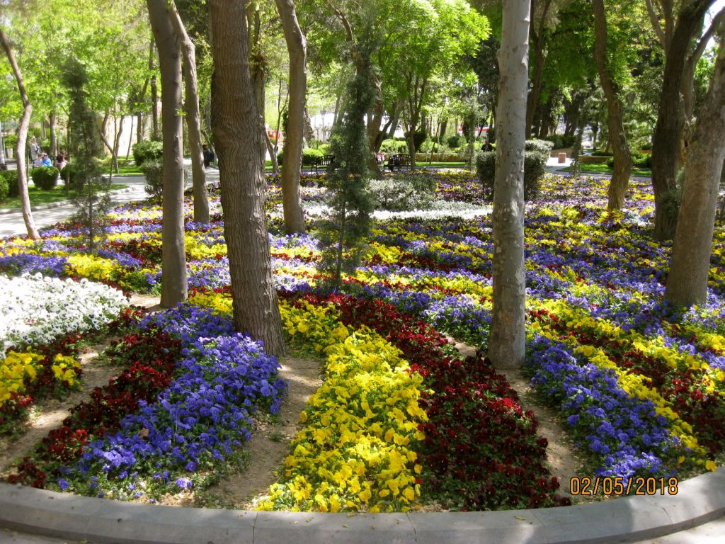 - მაისი ბაქოში . <