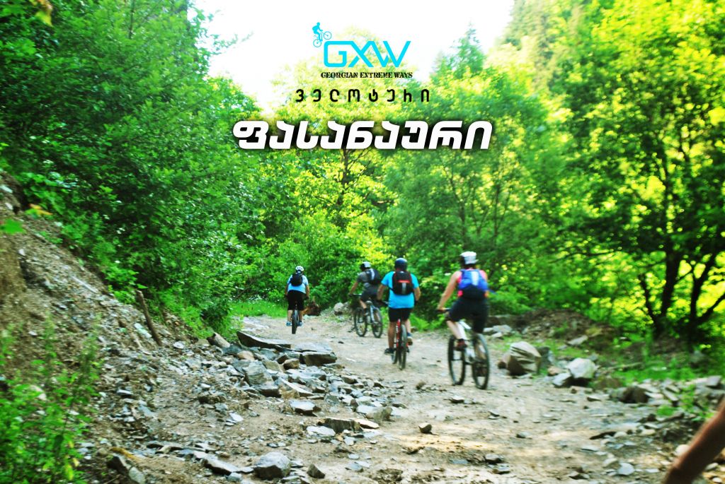 ველოტური ფასანაურ - ანანური