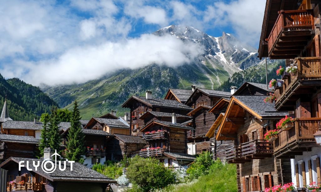 დღიანი ჯგუფური ტური -